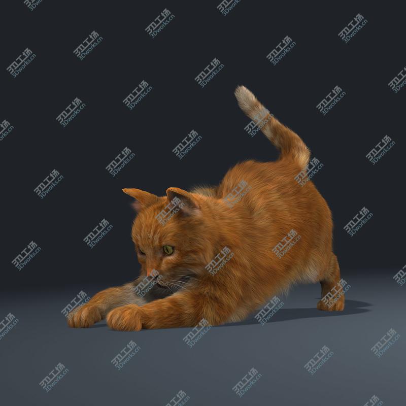 images/goods_img/20210319/Cat (Orange Tabby) (FUR) (ANIMATED)/5.jpg